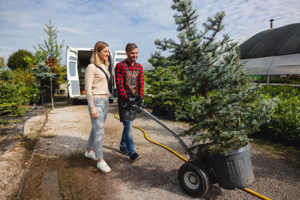 Best Tree Care Services  in Boardman, OR